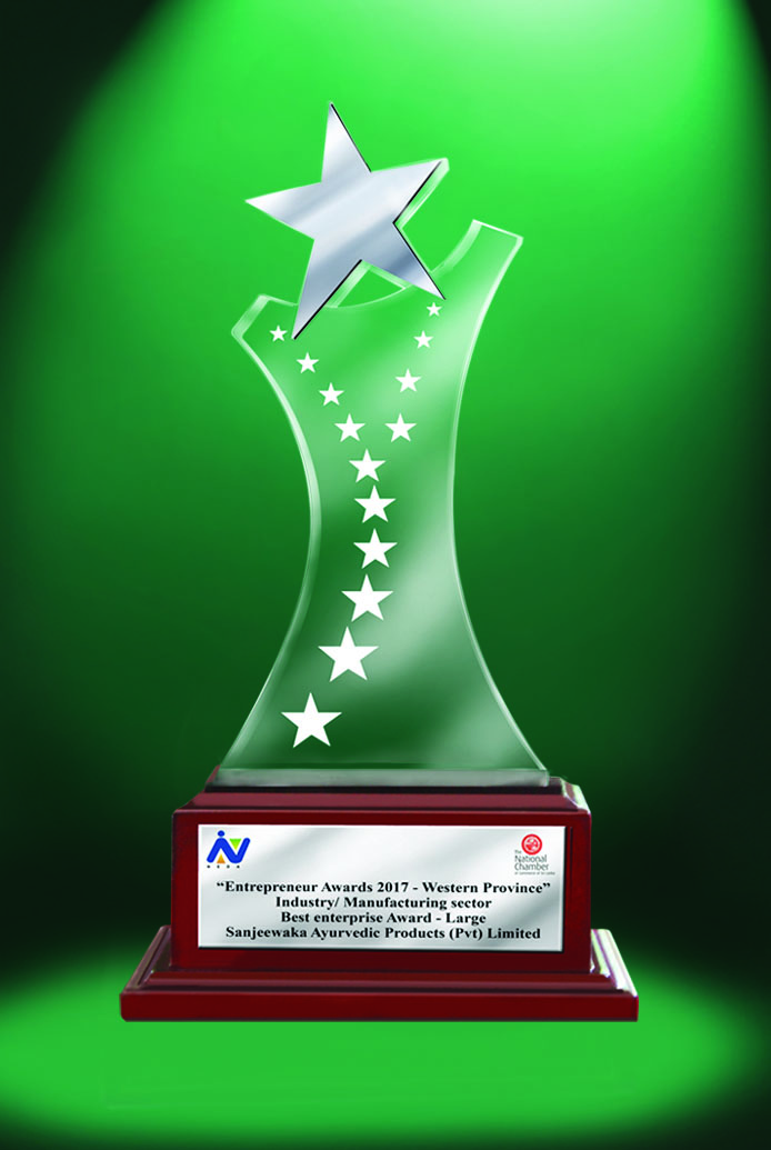 Best Enterprise Award – Large